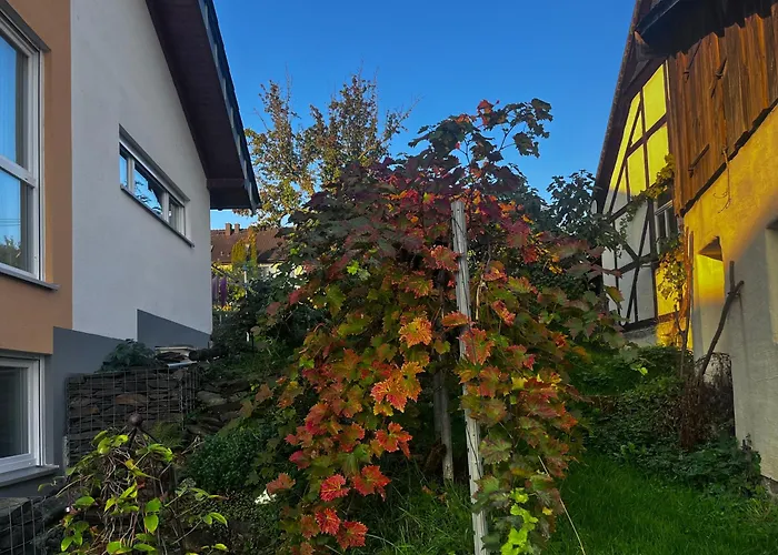 Kleine Auszeit - Ferienwohnung Heideberg - \